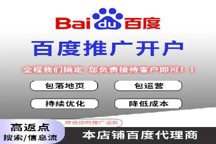 百度推广与SEO结合案例：提升网站排名的技巧